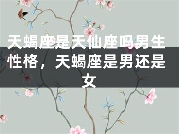 天蝎座是天仙座吗男生性格，天蝎座是男还是女