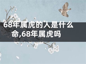 68年属虎的人是什么命,68年属虎吗