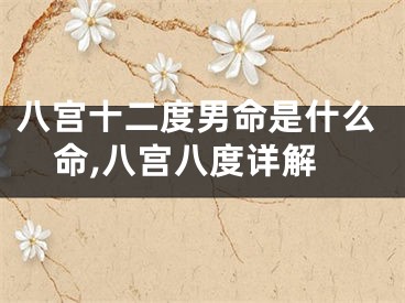 八宫十二度男命是什么命,八宫八度详解