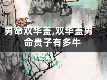 男命双华盖,双华盖男命贵子有多牛