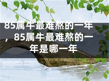85属牛最难熬的一年，85属牛最难熬的一年是哪一年