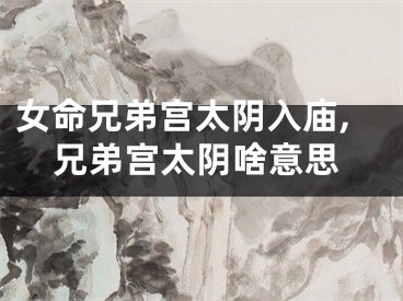 女命兄弟宫太阴入庙,兄弟宫太阴啥意思
