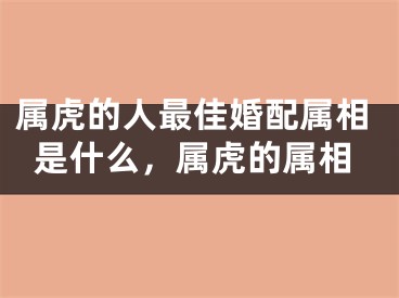 属虎的人最佳婚配属相是什么，属虎的属相