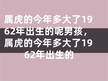 属虎的今年多大了1962年出生的呢男孩，属虎的今年多大了1962年出生的