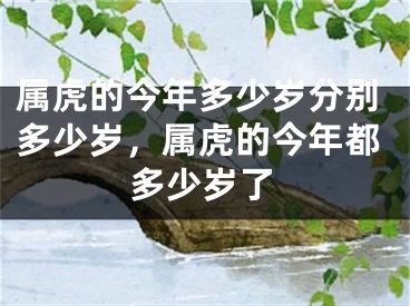 属虎的今年多少岁分别多少岁，属虎的今年都多少岁了