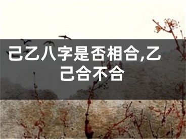 己乙八字是否相合,乙己合不合