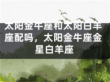 太阳金牛座和太阳白羊座配吗，太阳金牛座金星白羊座