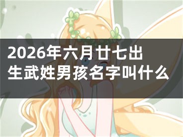 2026年六月廿七出生武姓男孩名字叫什么