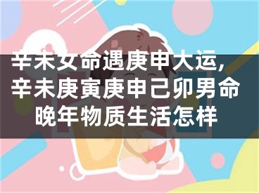 辛未女命遇庚申大运,辛未庚寅庚申己卯男命晚年物质生活怎样
