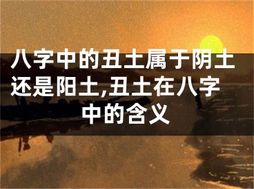 八字中的丑土属于阴土还是阳土,丑土在八字中的含义