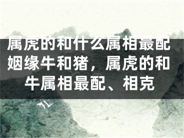 属虎的和什么属相最配姻缘牛和猪，属虎的和牛属相最配、相克