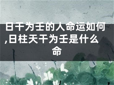 日干为壬的人命运如何,日柱天干为壬是什么命