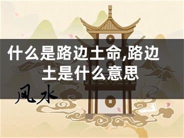 什么是路边土命,路边土是什么意思