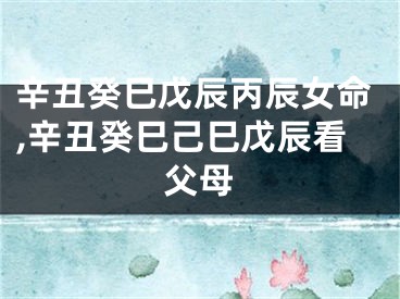 辛丑癸巳戊辰丙辰女命,辛丑癸巳己巳戊辰看父母