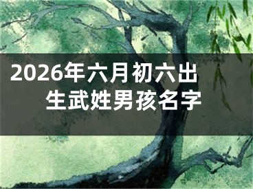 2026年六月初六出生武姓男孩名字