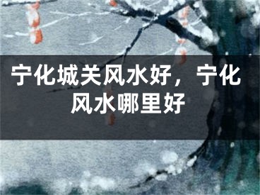 宁化城关风水好，宁化风水哪里好