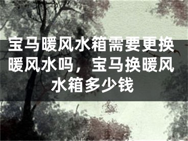 宝马暖风水箱需要更换暖风水吗，宝马换暖风水箱多少钱