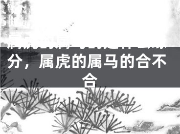 属虎的属马的是什么缘分，属虎的属马的合不合