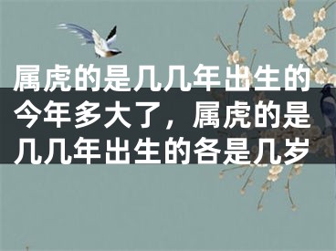 属虎的是几几年出生的今年多大了，属虎的是几几年出生的各是几岁