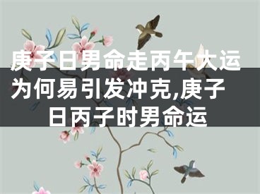 庚子日男命走丙午大运为何易引发冲克,庚子日丙子时男命运
