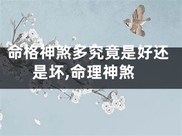 命格神煞多究竟是好还是坏,命理神煞