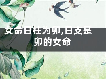 女命日柱为卯,日支是卯的女命