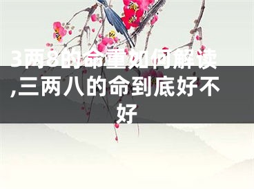 3两8的命重如何解读,三两八的命到底好不好