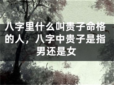 八字里什么叫贵子命格的人,八字中贵子是指男还是女