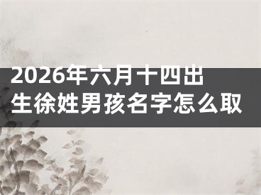 2026年六月十四出生徐姓男孩名字怎么取