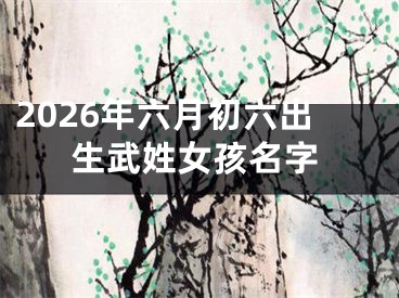 2026年六月初六出生武姓女孩名字