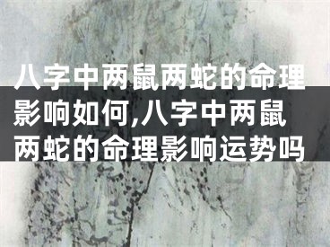 八字中两鼠两蛇的命理影响如何,八字中两鼠两蛇的命理影响运势吗