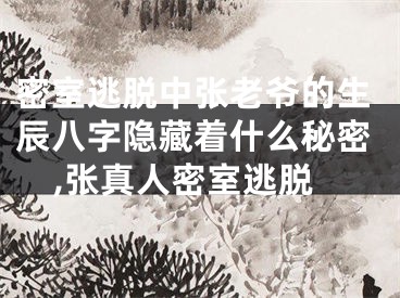 密室逃脱中张老爷的生辰八字隐藏着什么秘密,张真人密室逃脱