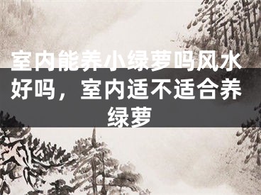 室内能养小绿萝吗风水好吗，室内适不适合养绿萝