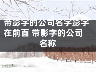带影字的公司名字影字在前面 带影字的公司名称