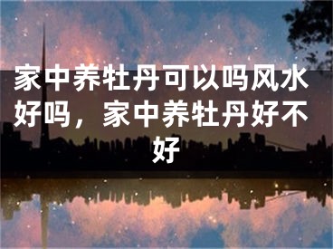 家中养牡丹可以吗风水好吗，家中养牡丹好不好