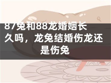 87兔和88龙婚姻长久吗，龙兔结婚伤龙还是伤兔