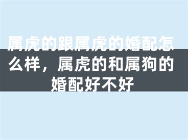 属虎的跟属虎的婚配怎么样，属虎的和属狗的婚配好不好