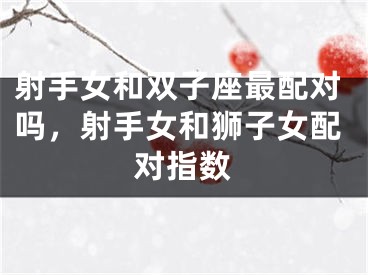 射手女和双子座最配对吗，射手女和狮子女配对指数