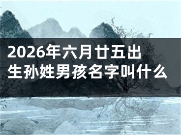 2026年六月廿五出生孙姓男孩名字叫什么