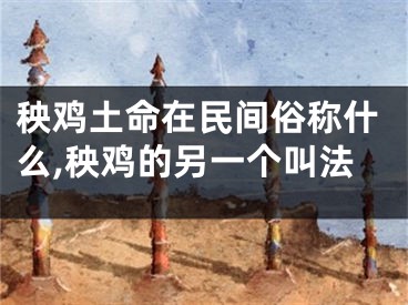 秧鸡土命在民间俗称什么,秧鸡的另一个叫法