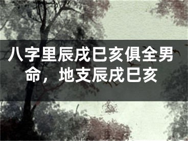 八字里辰戌巳亥俱全男命，地支辰戌巳亥