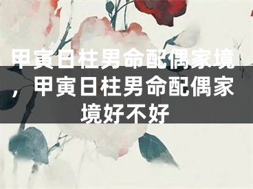 甲寅日柱男命配偶家境，甲寅日柱男命配偶家境好不好