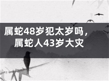 属蛇48岁犯太岁吗，属蛇人43岁大灾