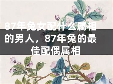 87年兔女配什么属相的男人，87年兔的最佳配偶属相