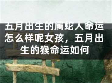 五月出生的属蛇人命运怎么样呢女孩，五月出生的猴命运如何