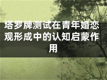 塔罗牌测试在青年婚恋观形成中的认知启蒙作用