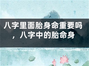 八字里面胎身命重要吗，八字中的胎命身