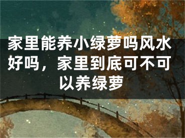 家里能养小绿萝吗风水好吗,家里到底可不可以养绿萝