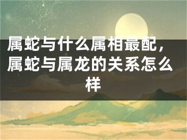 属蛇与什么属相最配，属蛇与属龙的关系怎么样