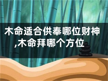 木命适合供奉哪位财神,木命拜哪个方位